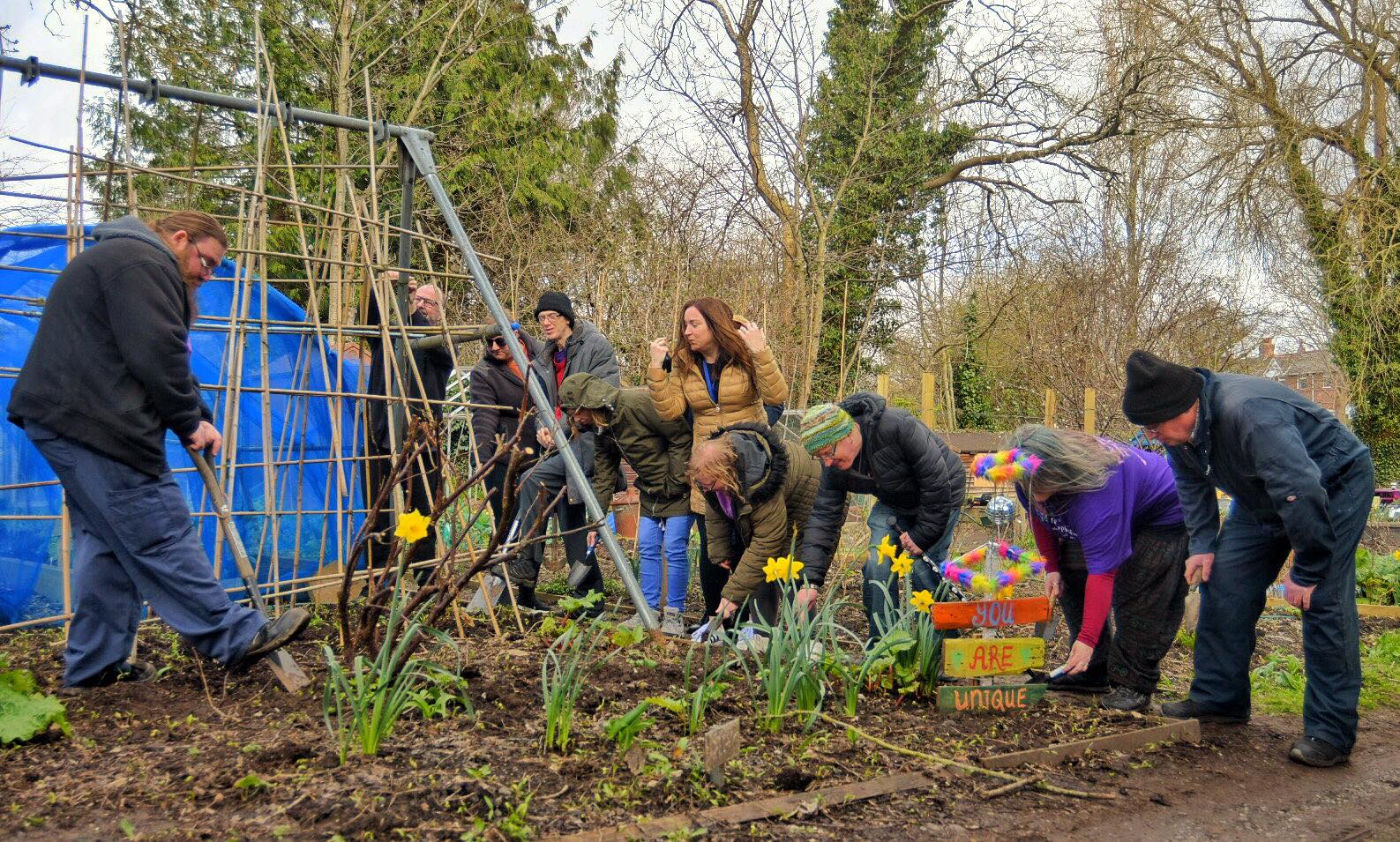 Wellbeing at allotment planting