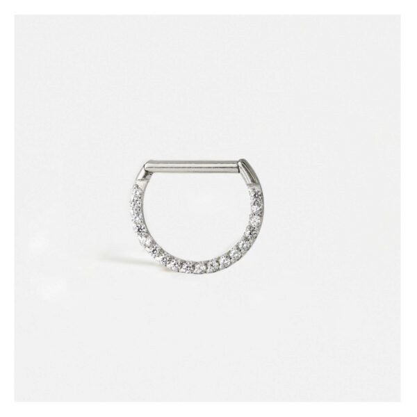 Dur gwrthstaen Aml Gemset D Segment Ring