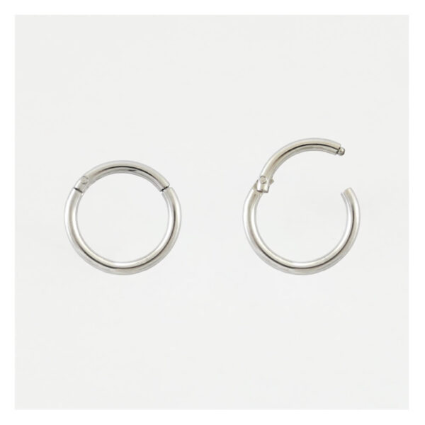 Polished Titanium Hinged Segment Ring