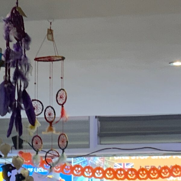 Dreamcatcher Enfys Bach gyda chylchoedd a phlu wedi'u hatal